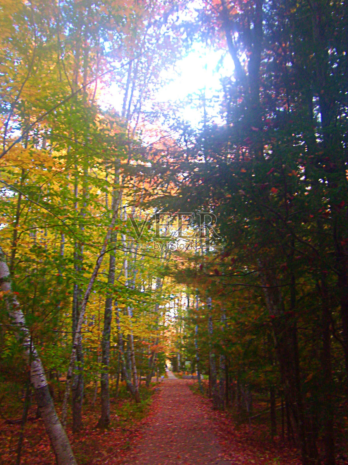 杰瑟普路径照片摄影图片