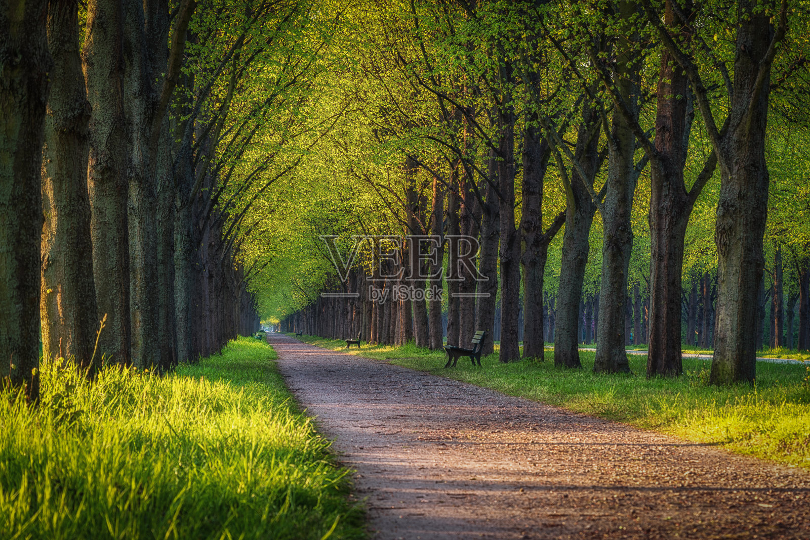 春天的赫伦豪森大道上有人行道照片摄影图片