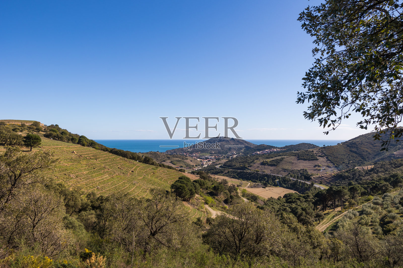 (谷歌of Cô咒语Vermeille笛子的Massif的妄想ères (Occitanie,法国)照片摄影图片