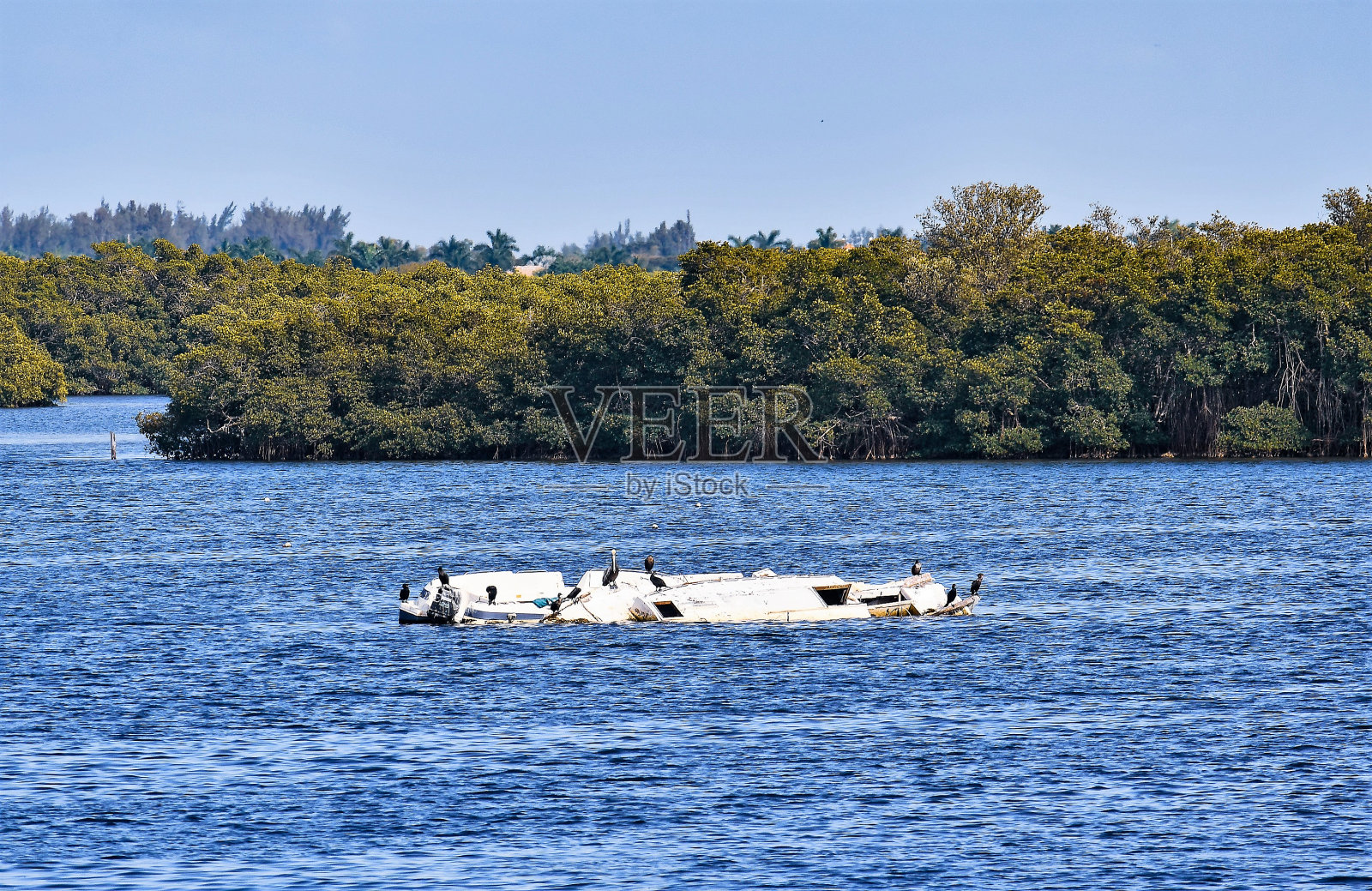 废弃的倾覆帆船照片摄影图片