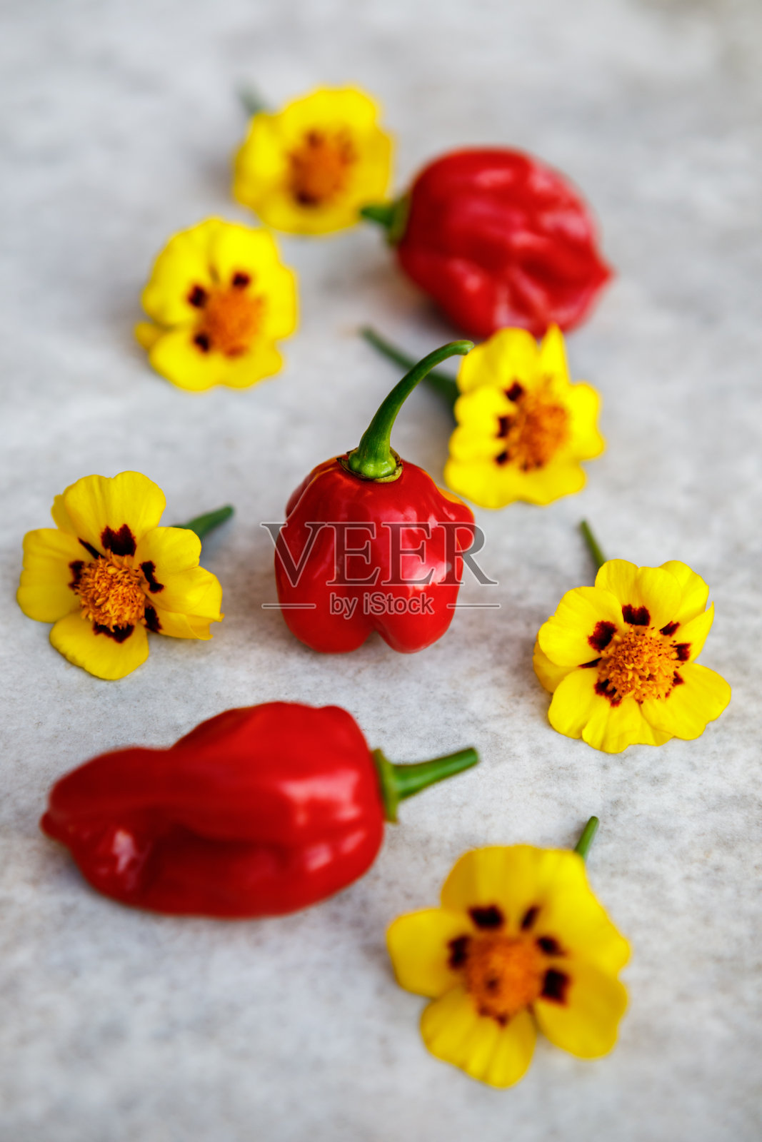 红辣椒照片摄影图片