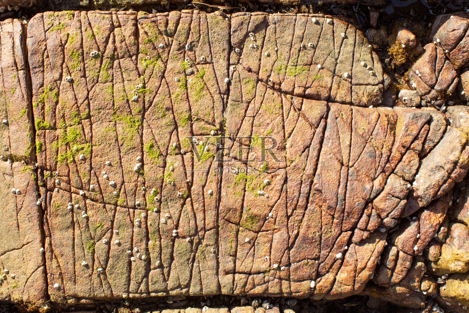 沿着霍巴特德温特河河岸的岩层的图案和纹理照片摄影图片