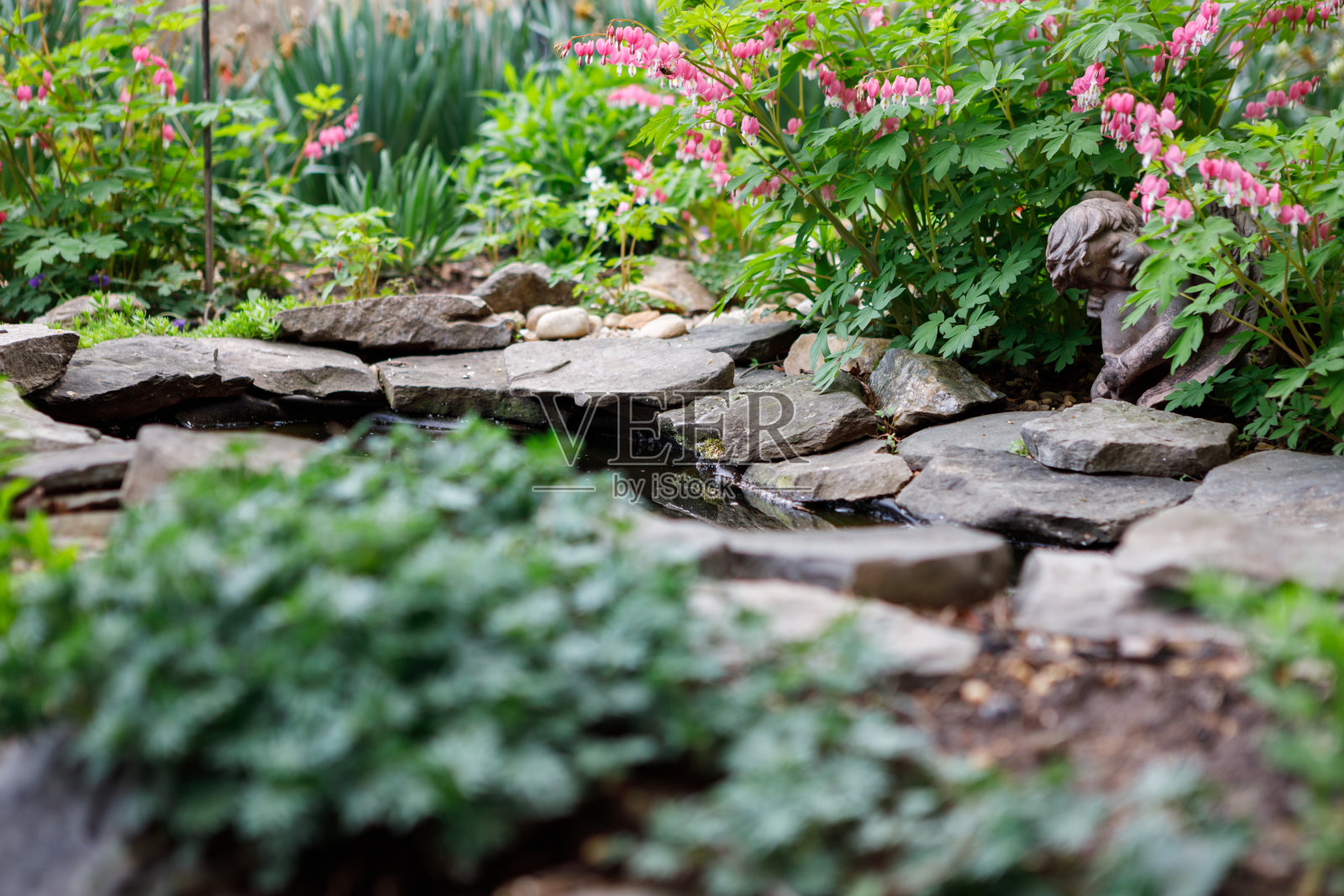 流血的心悬挂在池塘上照片摄影图片