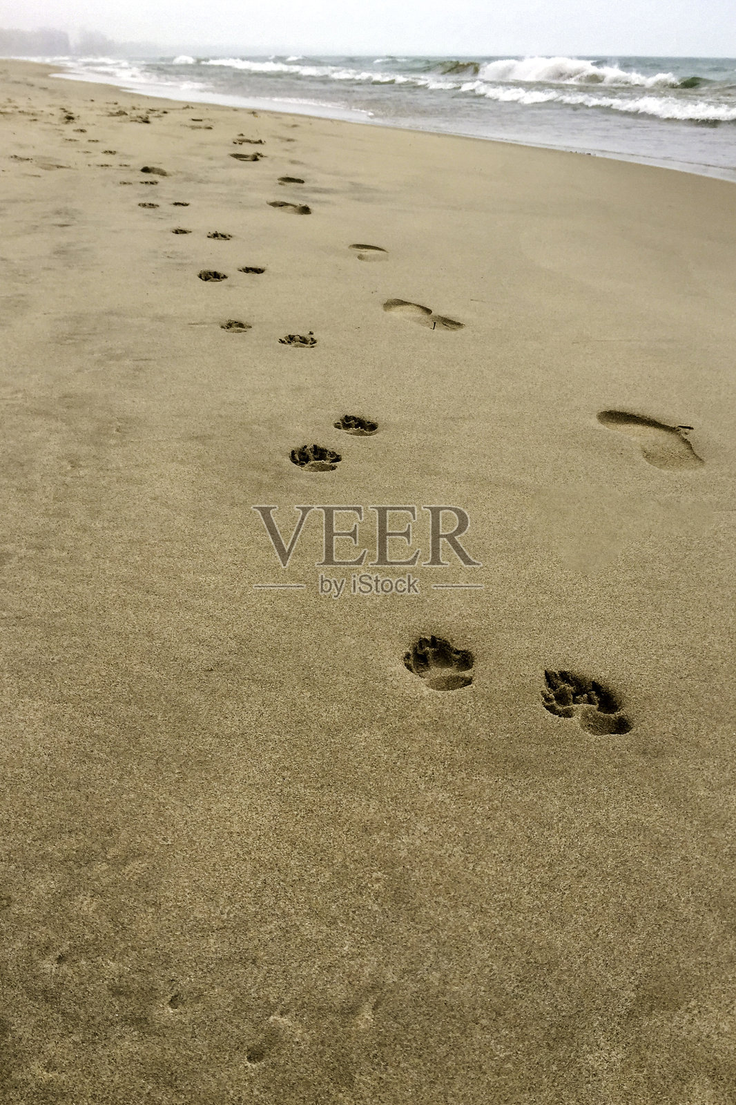 在沙滩上漫步照片摄影图片