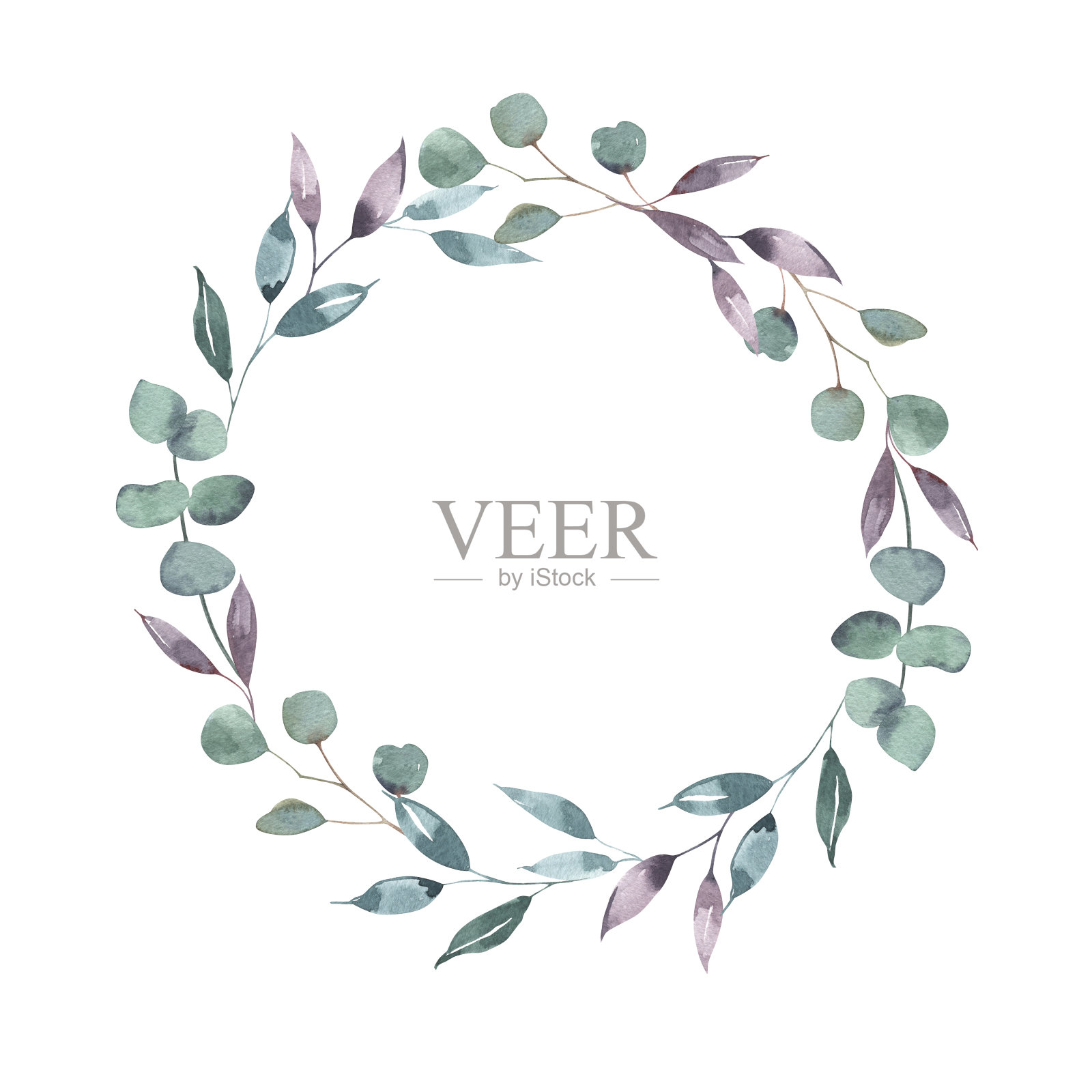水彩圣诞薄荷桉树叶子花环。新年插图手绘孤立在白色背景。用于节日贺卡，冬季海报，横幅，壁纸，包装纸，设计，印刷。插画图片素材