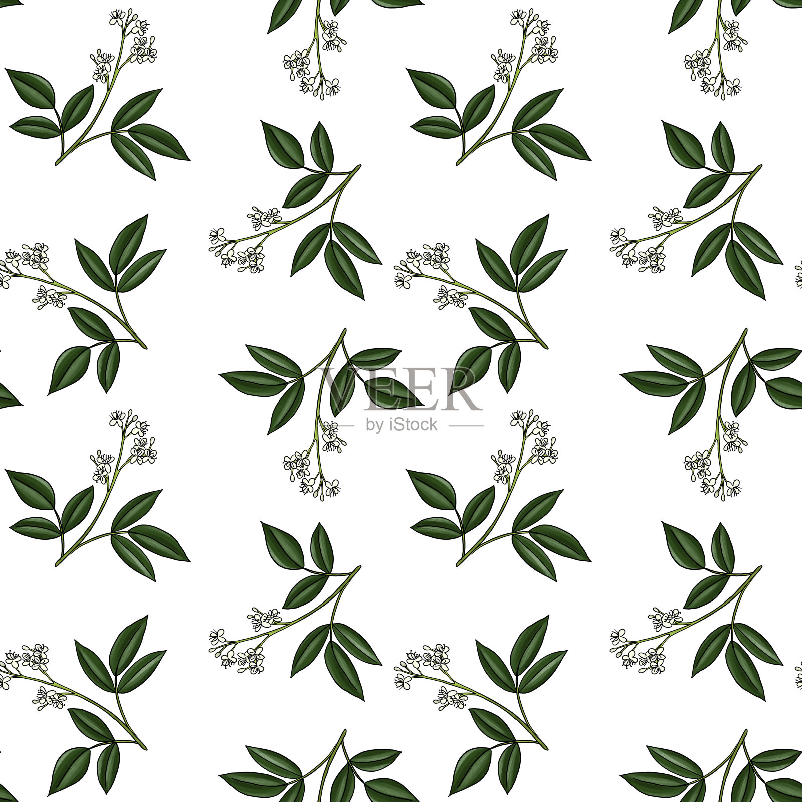 有amyris分支的无缝图案插画图片素材