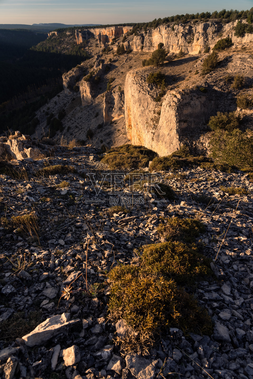 从西班牙卡斯蒂利亚利昂的索利亚的la Galiana瞭望到的狼河峡谷(Cañon del里约热内卢Lobos)。照片摄影图片