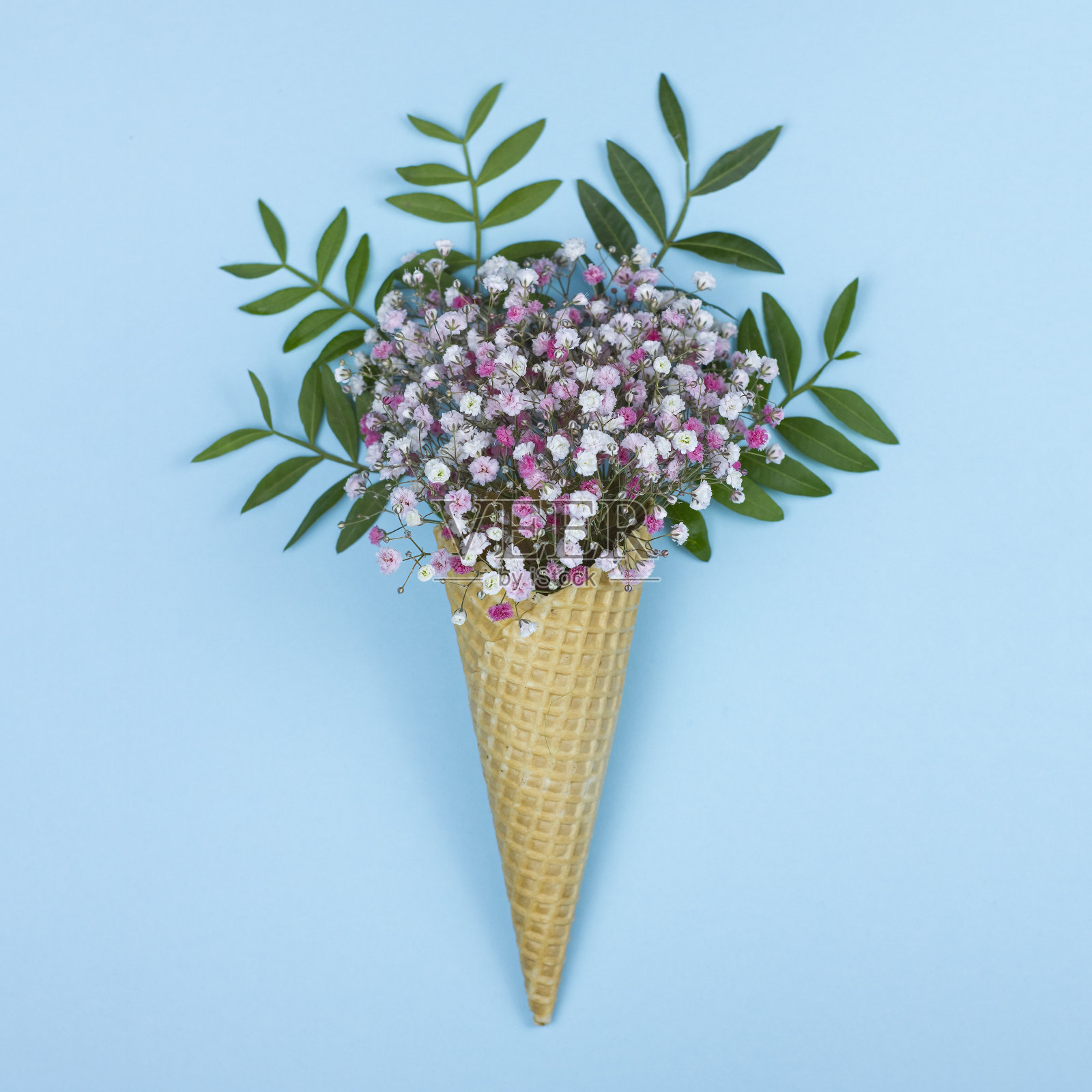 可爱的花朵在华夫饼甜筒蓝色背景。照片摄影图片