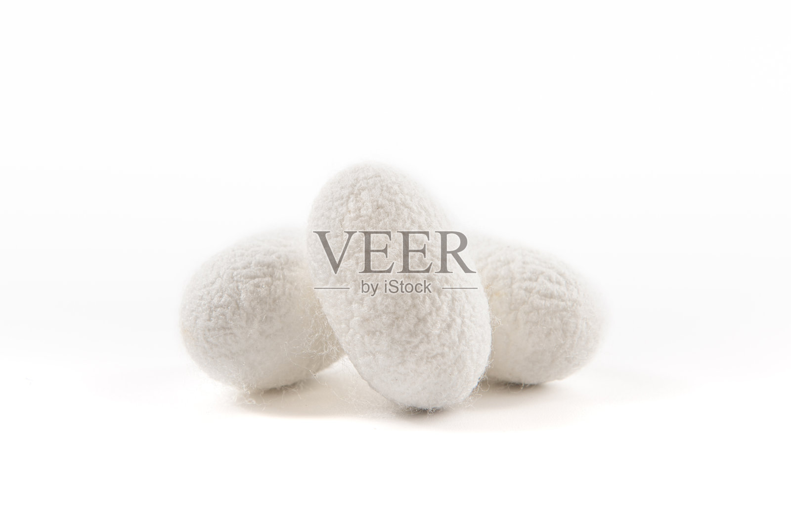 封闭的蚕茧孤立在白色背景上照片摄影图片