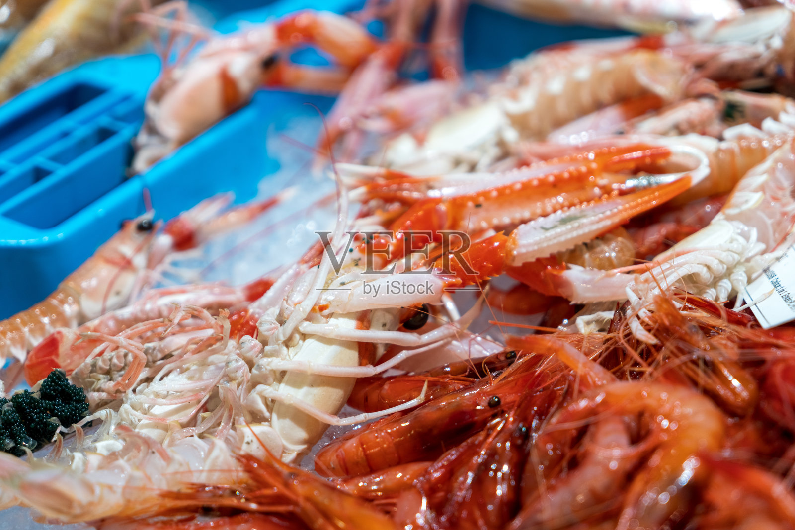 挪威龙虾和冰红大虾。照片摄影图片