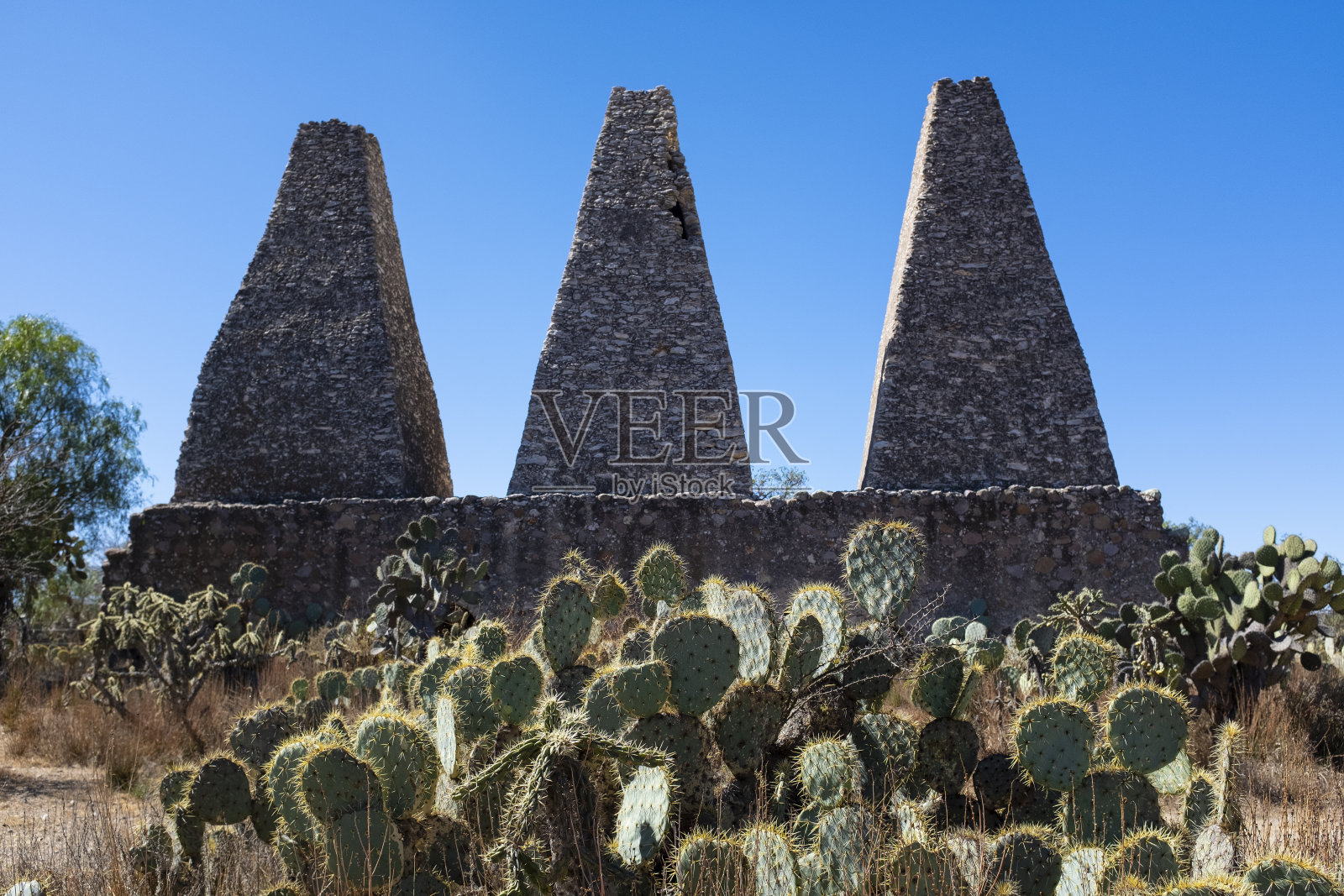 奇怪的研究对象照片摄影图片