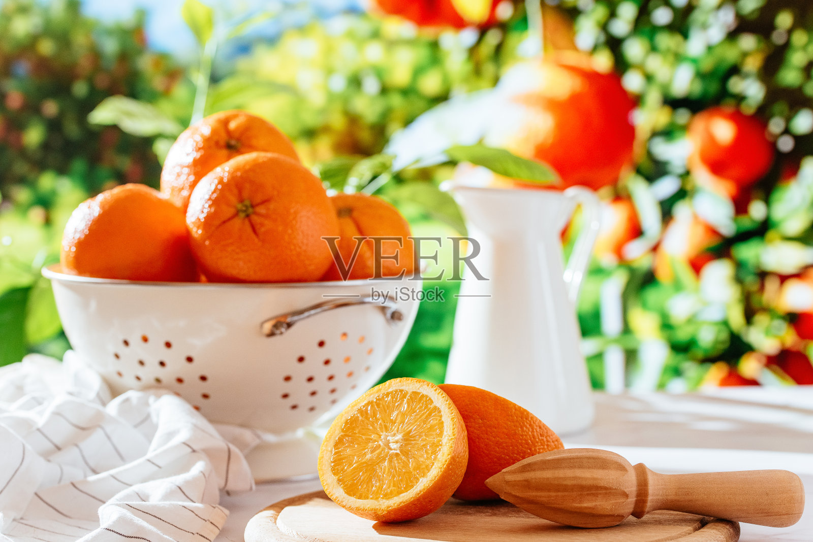 在树的背景下，滤锅里放着成熟的橙子照片摄影图片