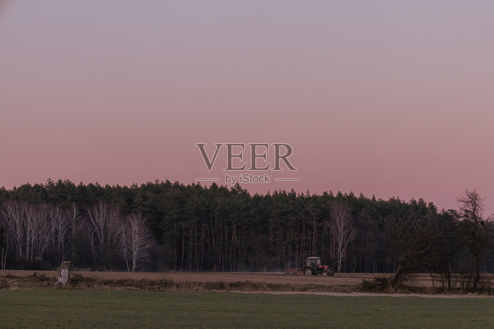 黄昏时天空中树木的剪影照片摄影图片