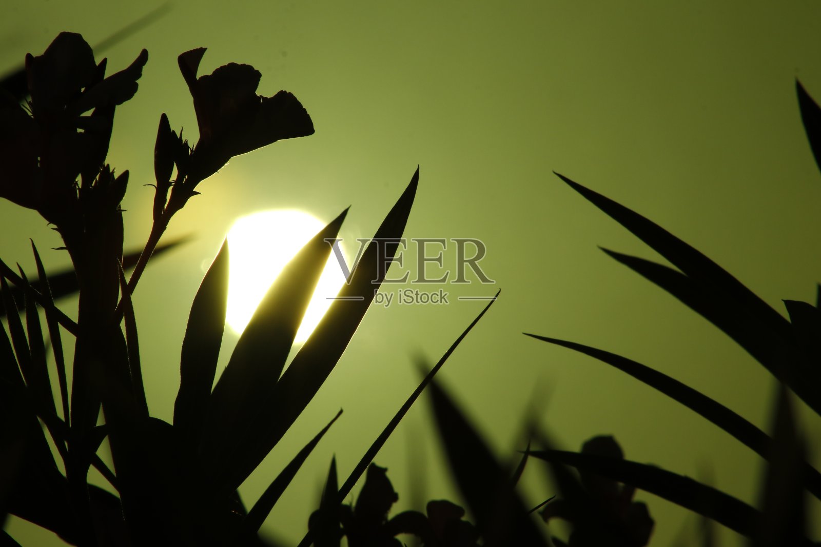 日落照片摄影图片