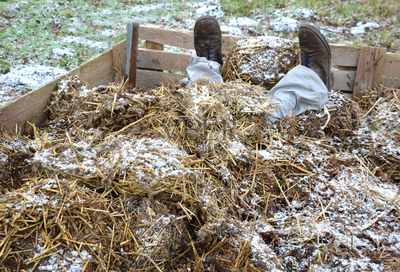 男子在粪堆中铺床而卧照片摄影图片