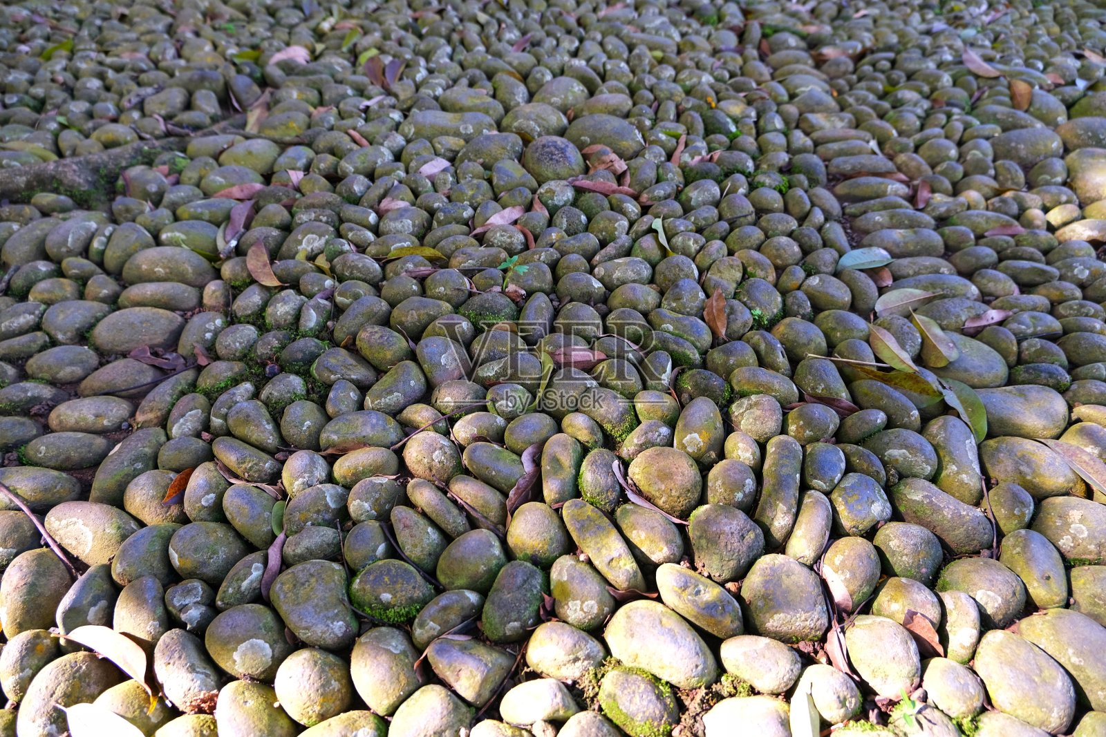 仔细观察早晨路上的鹅卵石图案照片摄影图片