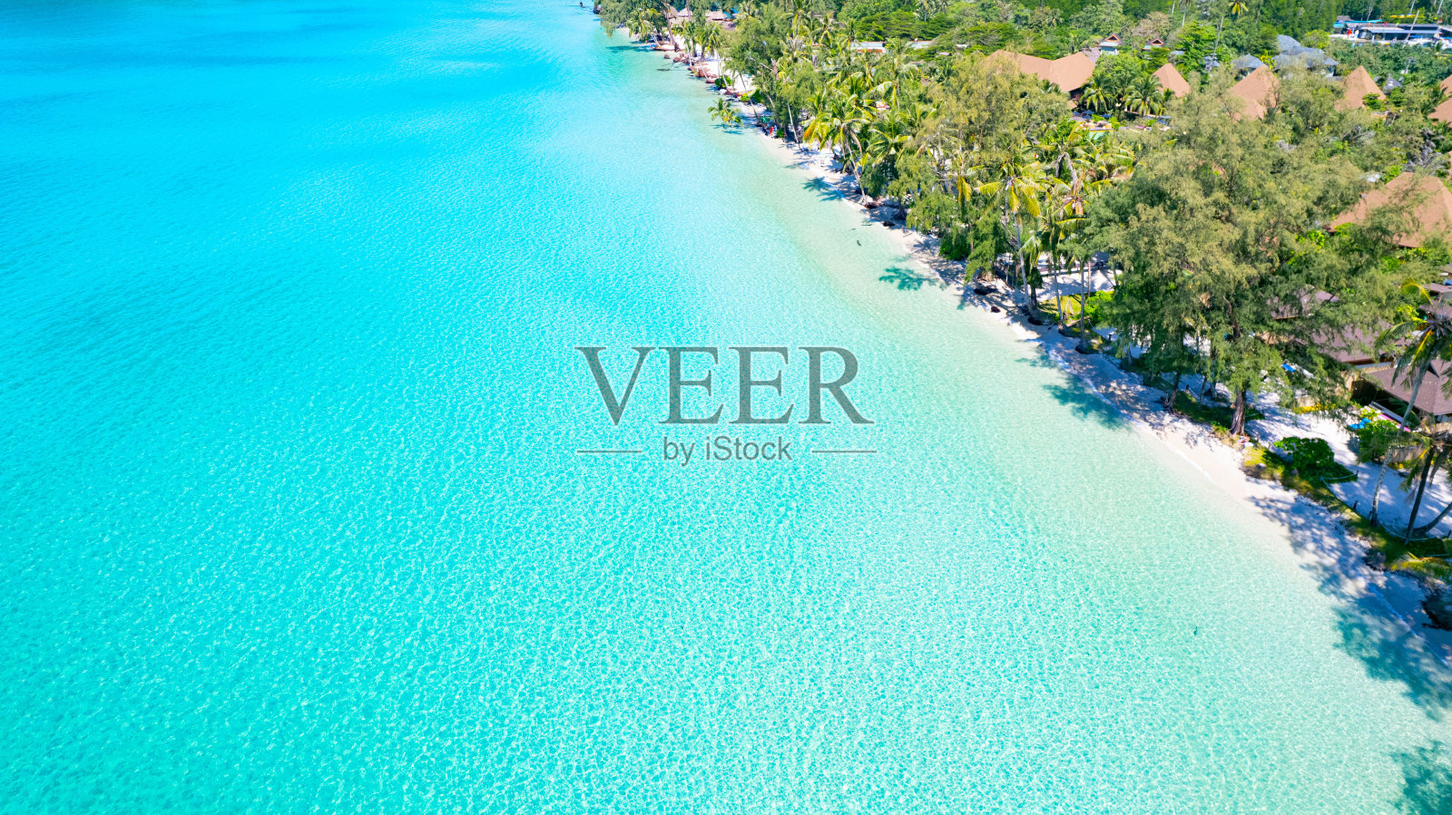 从空中俯瞰蔚蓝的海水，白色的沙滩和丰富的森林自然照片摄影图片