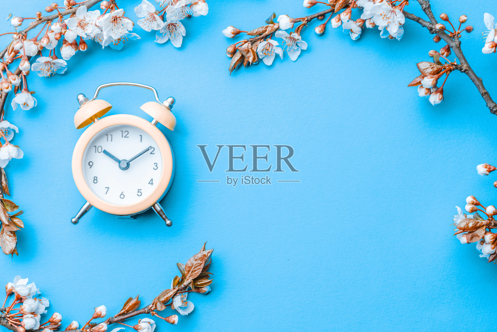 樱花、春花和四月花自然与闹钟蓝色背景。横幅为8三月，快乐的复活节与地方的文本。春天的概念贺卡与复制空间。照片摄影图片