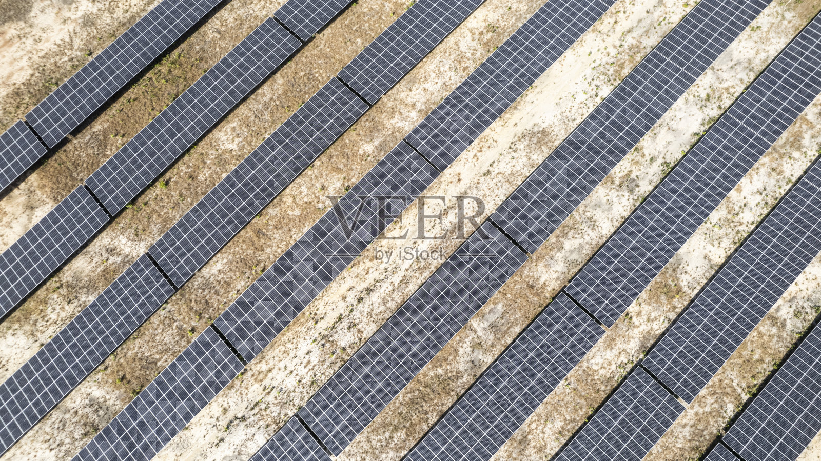 太阳能电池板从植物和原生森林和道路。照片摄影图片