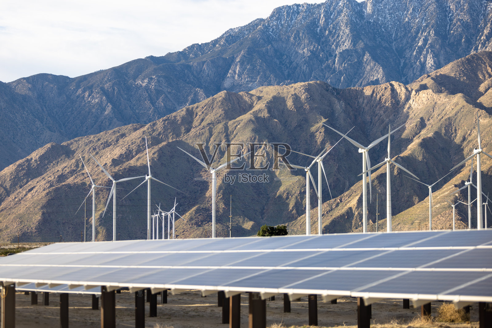 棕榈泉的风车和太阳能电池板照片摄影图片