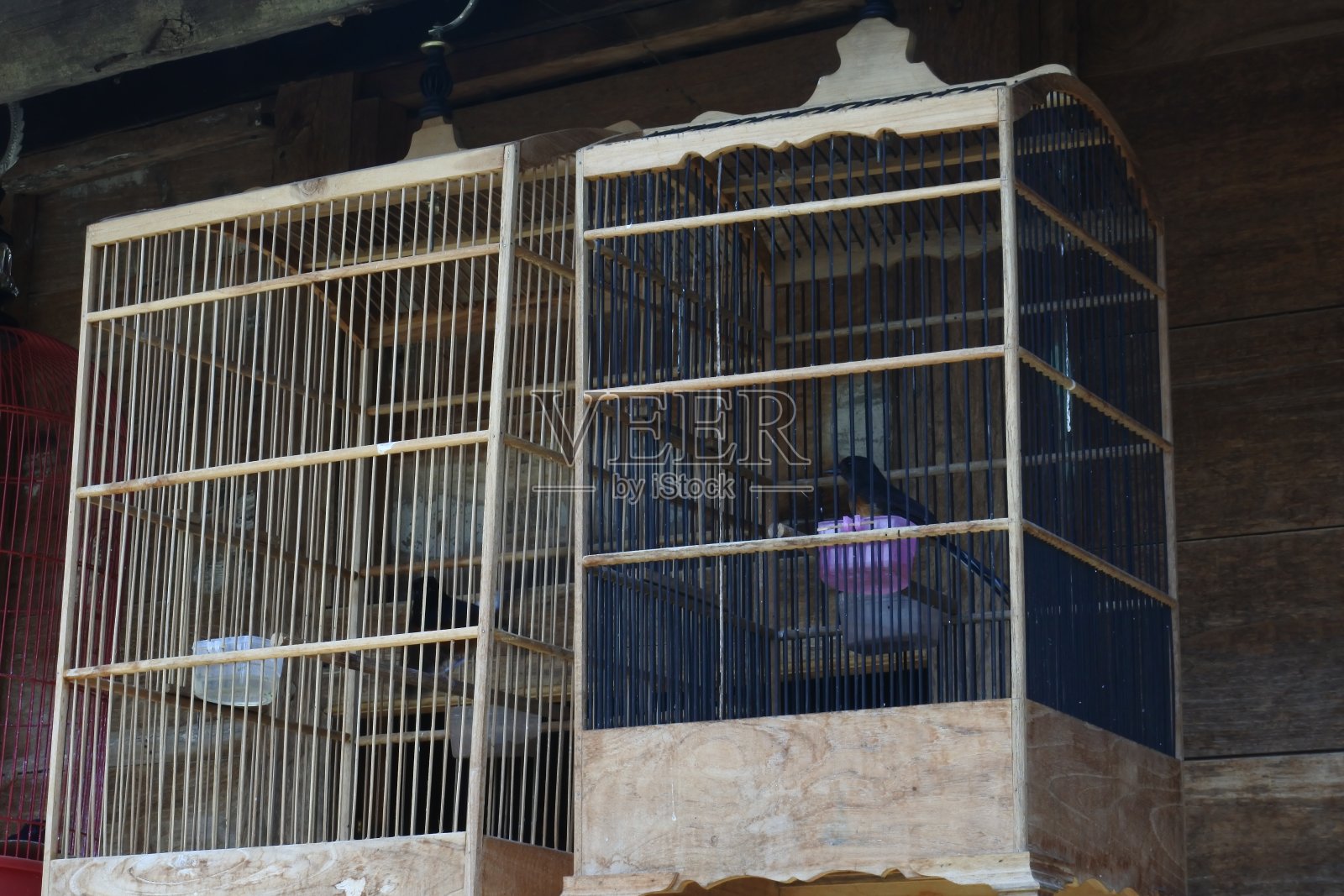 笼子里的鸟，笼子里的宠物，鸟类市场照片摄影图片