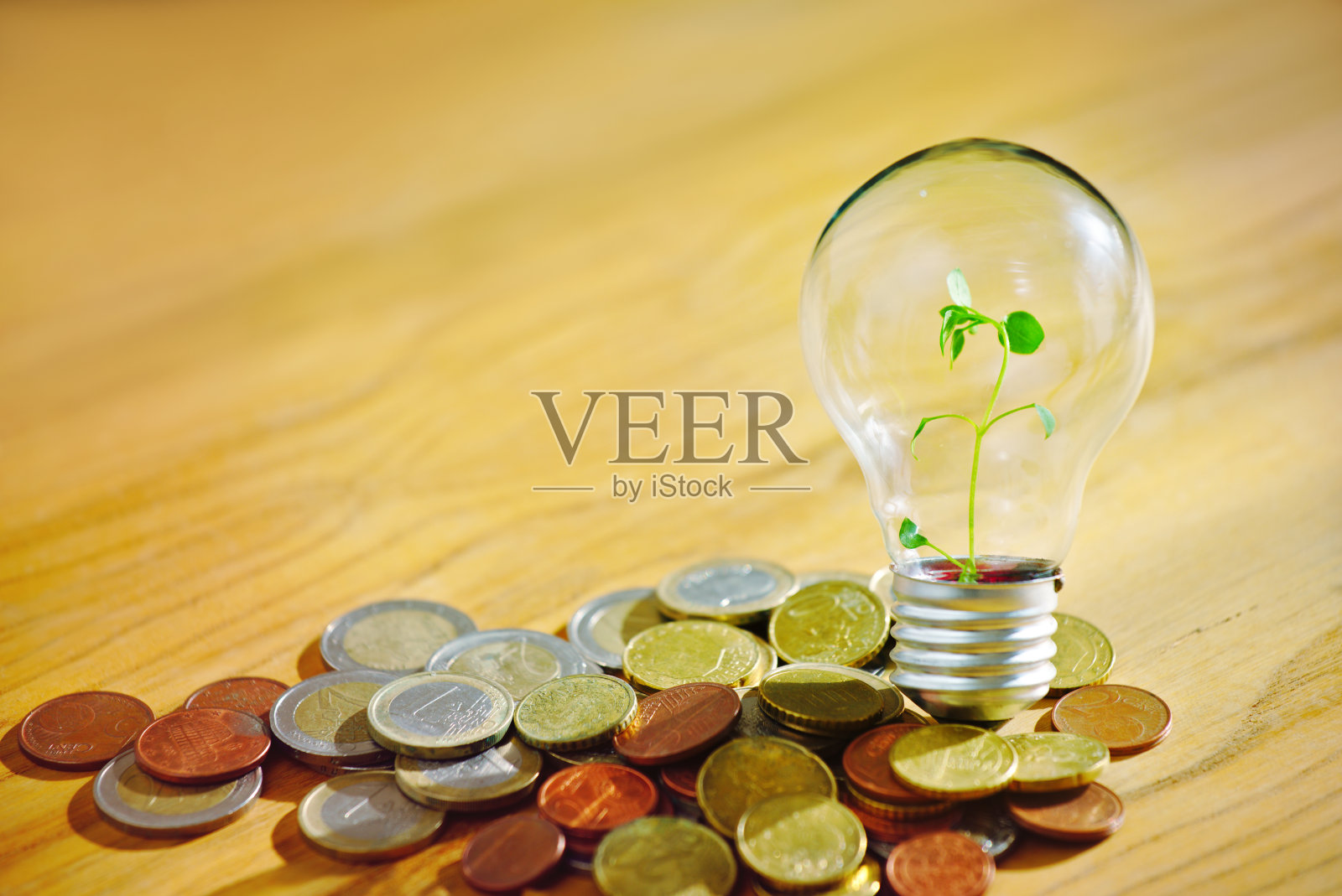 绿色植物灯泡照片摄影图片