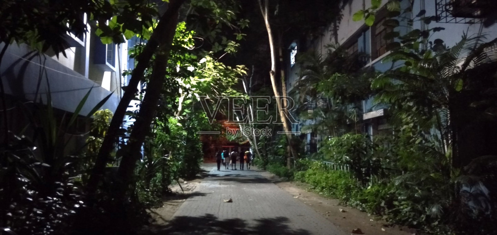 校园照片摄影图片