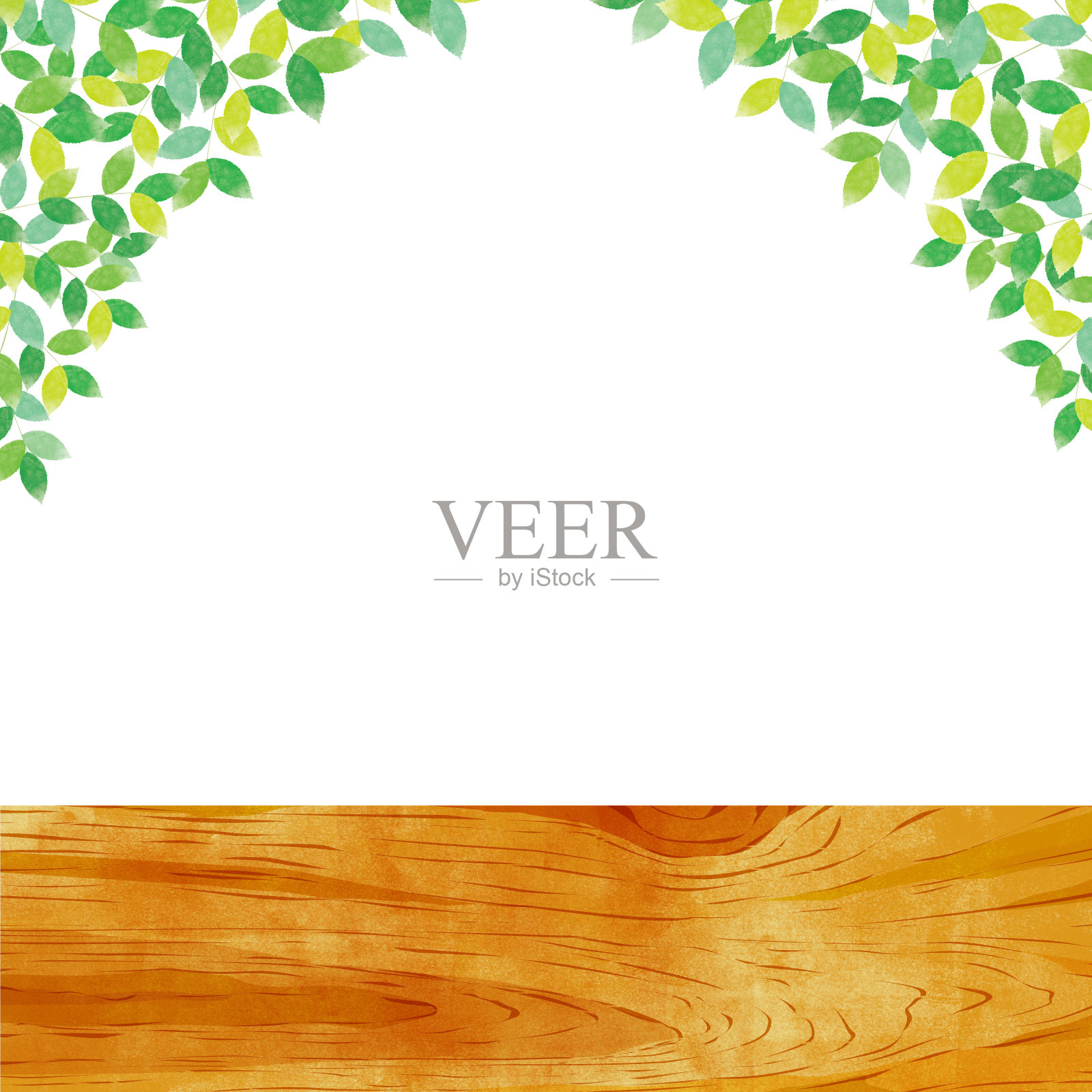 绿色的叶子在白色的背景插画图片素材