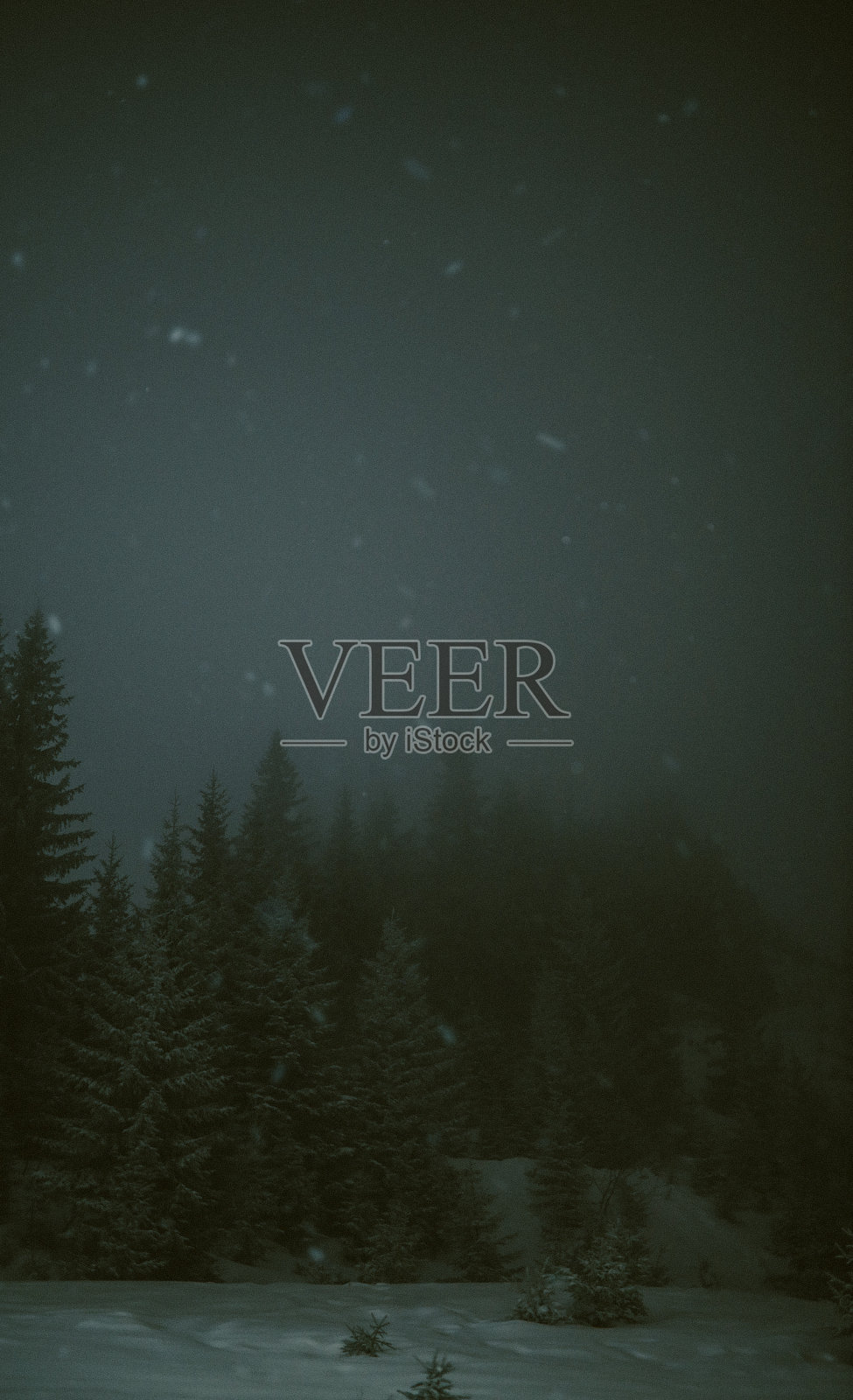 夜晚的暴风雪照片摄影图片