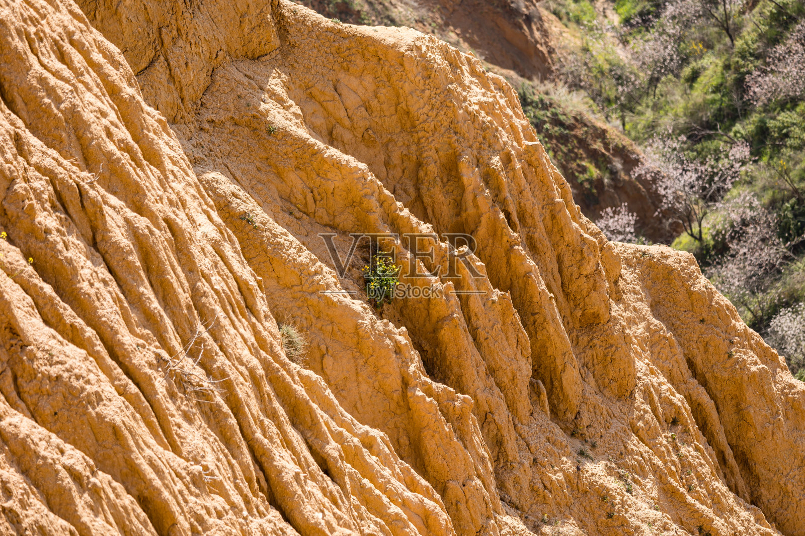 在托莱多被称为barrancas del burujon的粘土峡谷照片摄影图片
