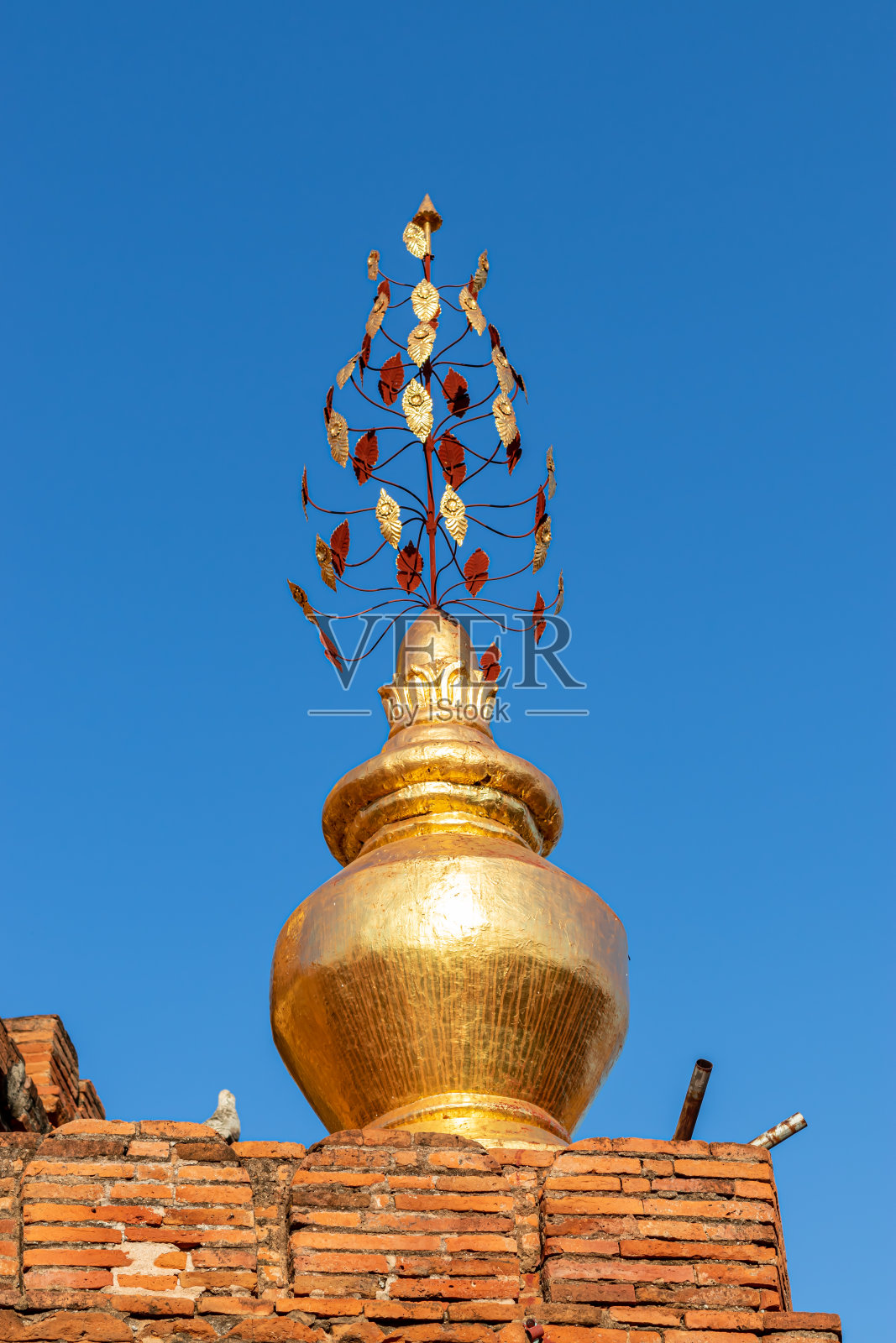 蒲甘的达玛扬兹卡神庙照片摄影图片