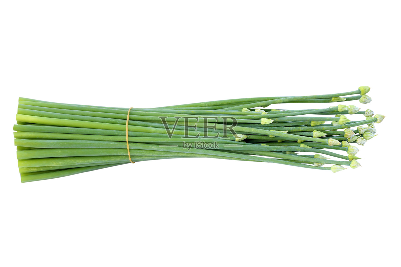 新鲜的有机洋葱花孤立在白色背景上照片摄影图片