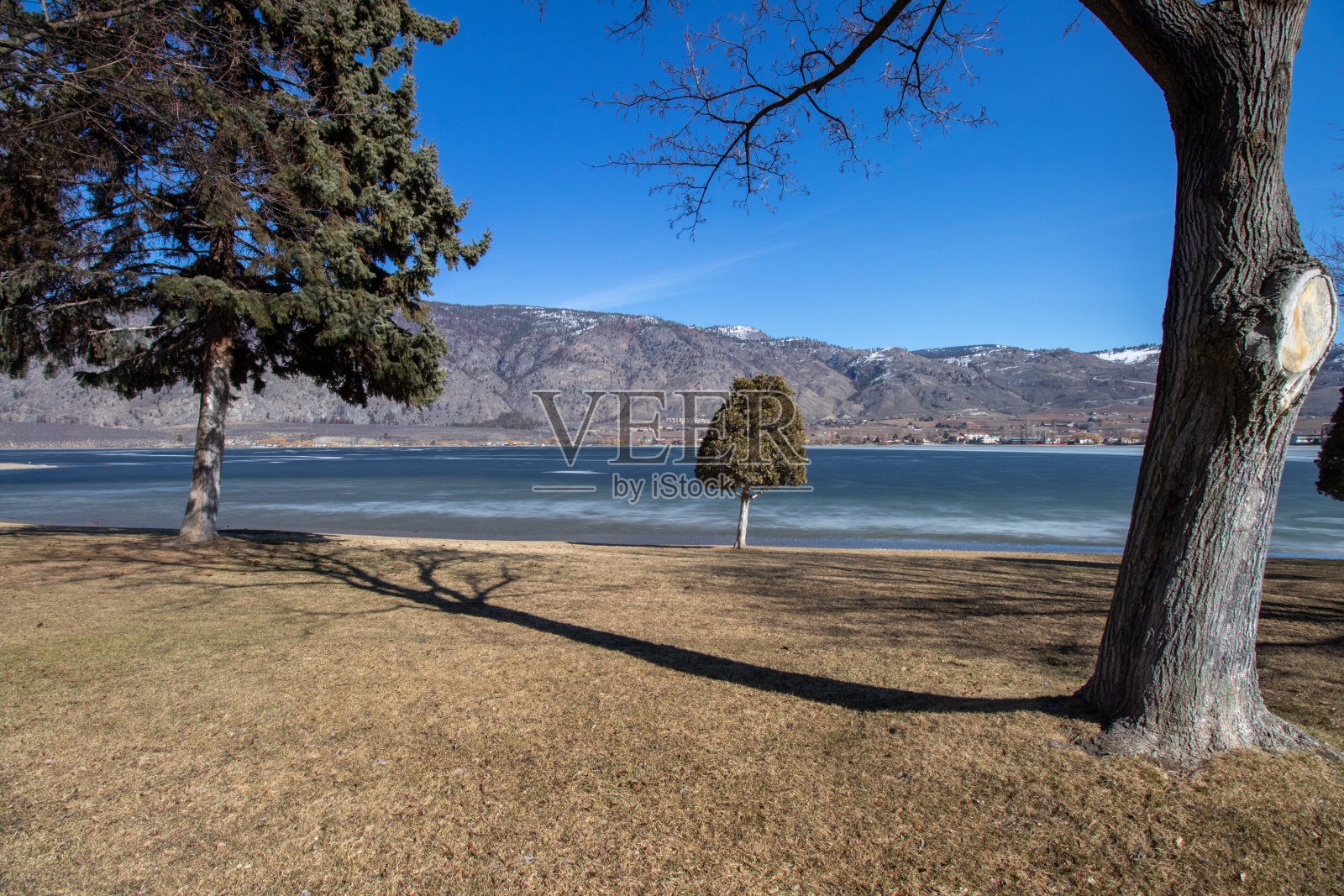 山区冰湖岸边的树木照片摄影图片