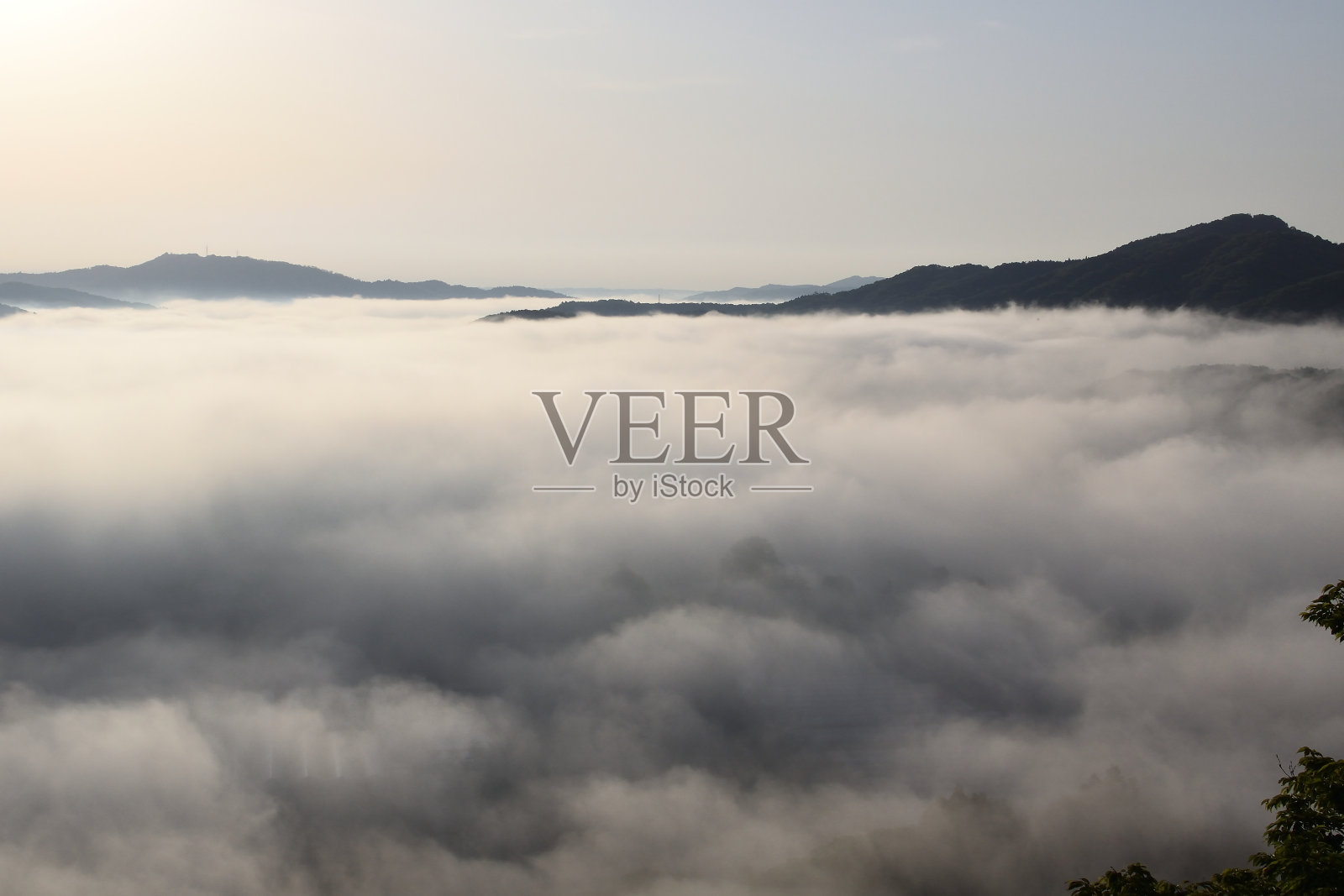 清晨的云海照片摄影图片