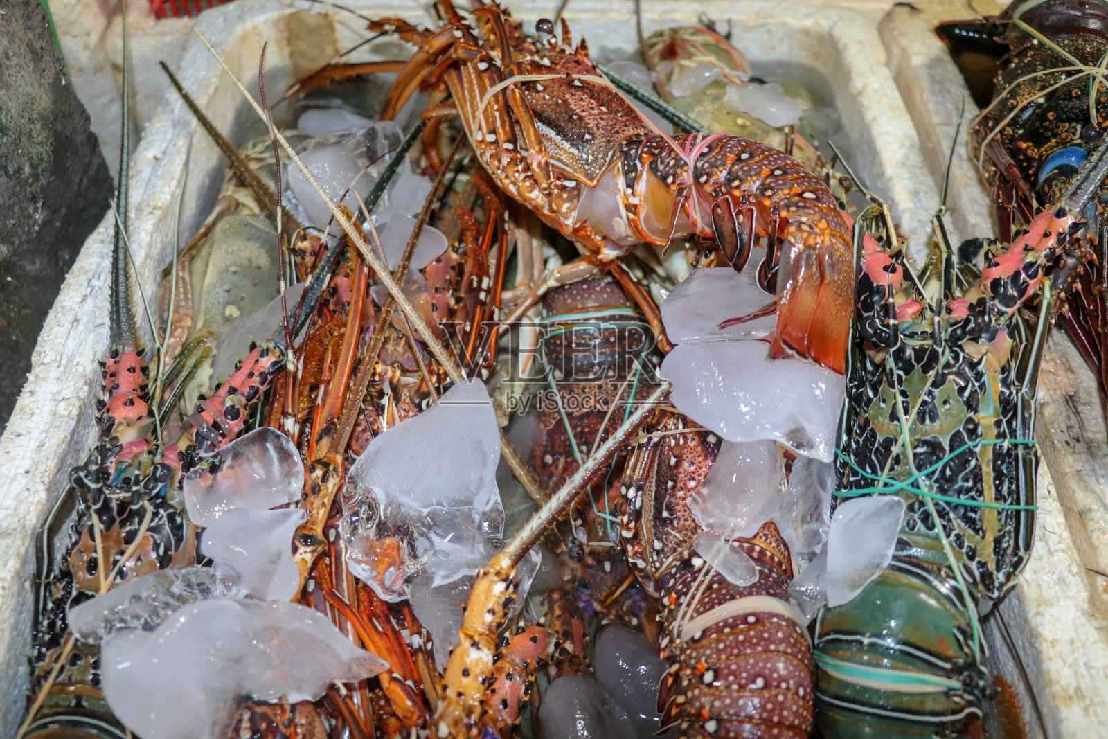 印度尼西亚巴厘岛金巴兰Kedonganan鱼市场出售的鲜活海鲜照片摄影图片