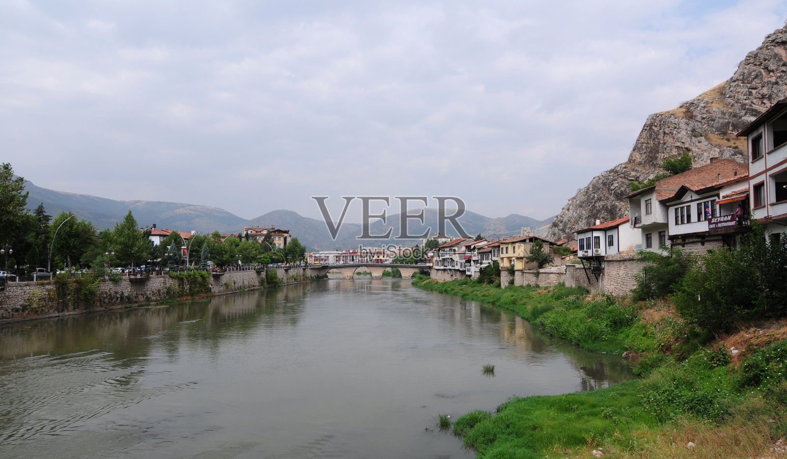 火鸡之旅照片摄影图片