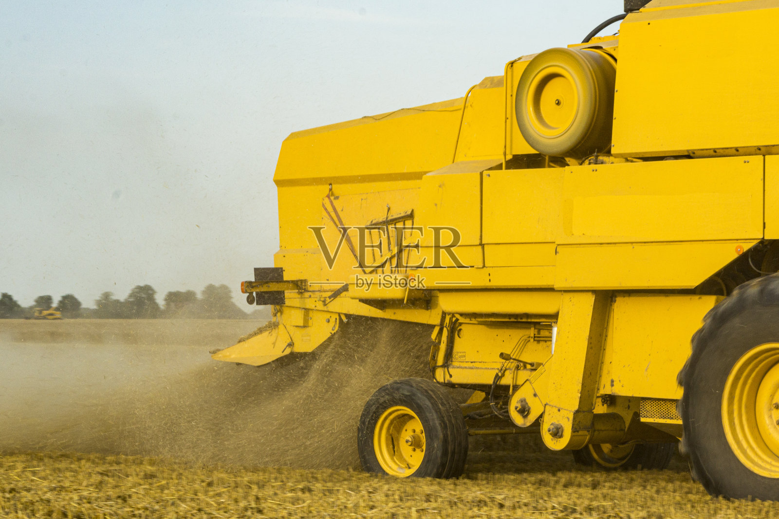 夏末用收割机和大量的尘土收割谷物。照片摄影图片