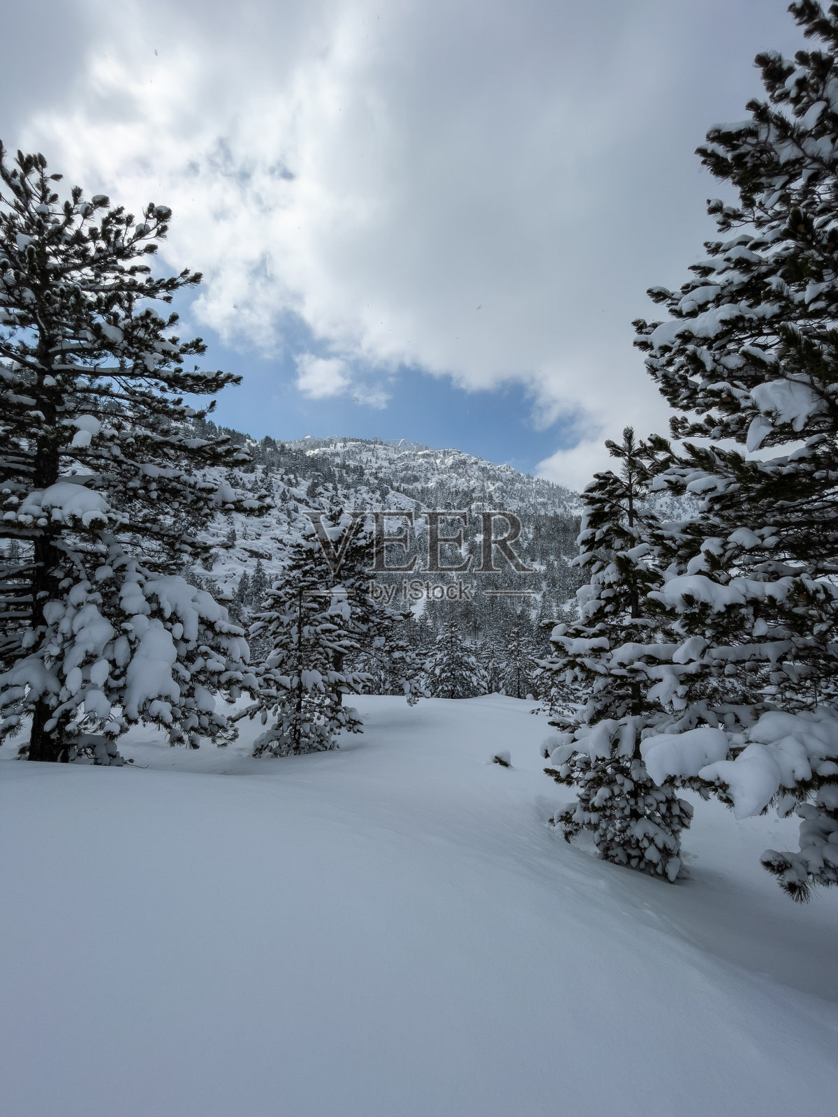神秘的山脉和森林的冬季景观照片摄影图片