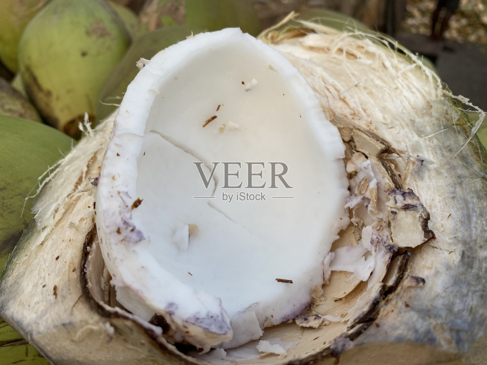 年轻的椰子照片摄影图片