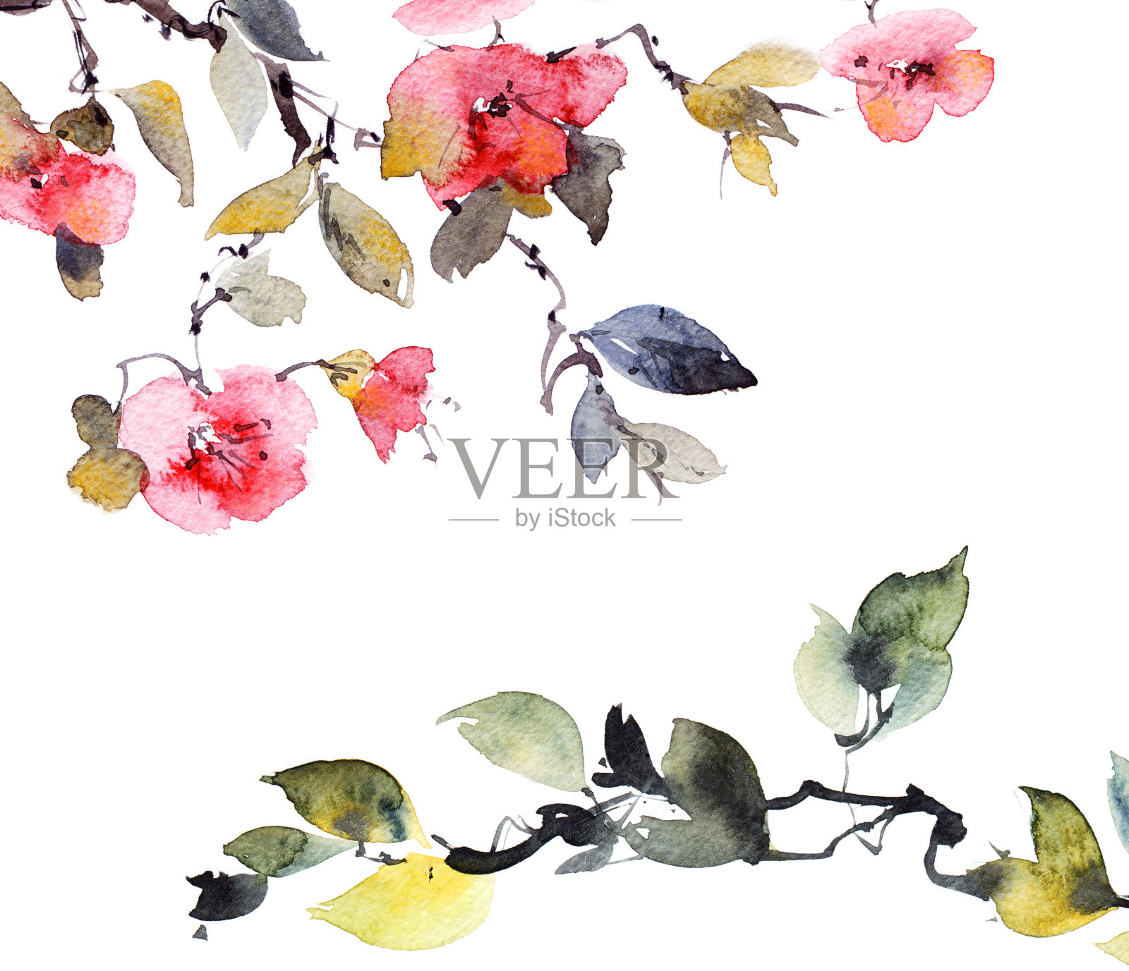 水彩花樱花枝插画图片素材