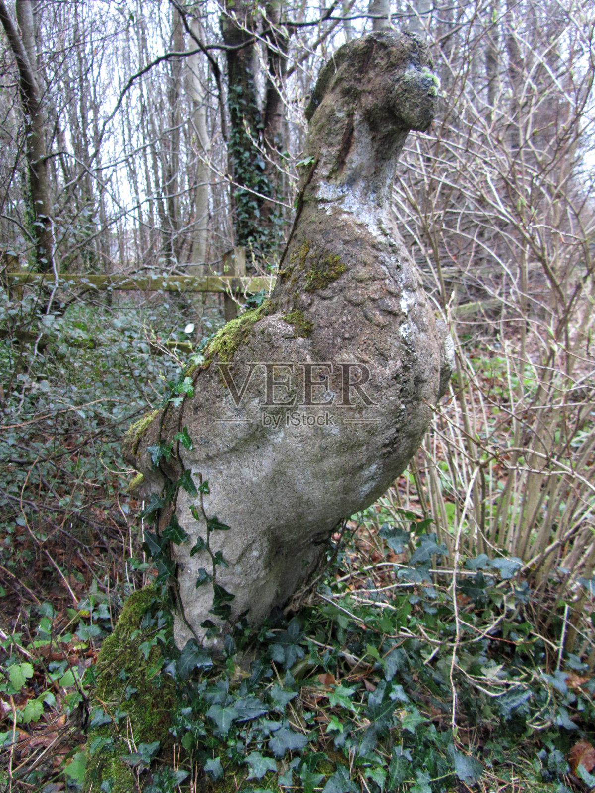 古老的石雕雕像栖息在常春藤中照片摄影图片