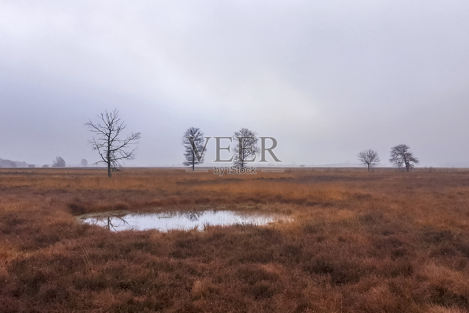 在德国、欧洲拍摄的自然景观。照片拍摄于2016年。照片摄影图片