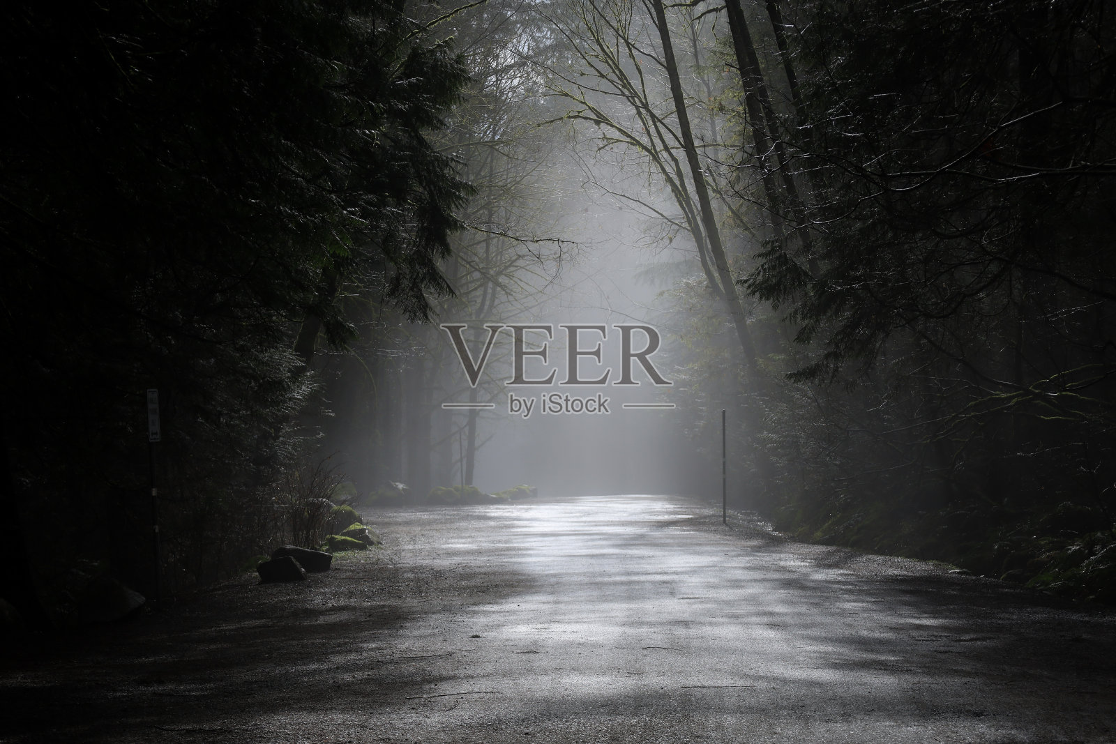 雾蒙蒙的土路照片摄影图片