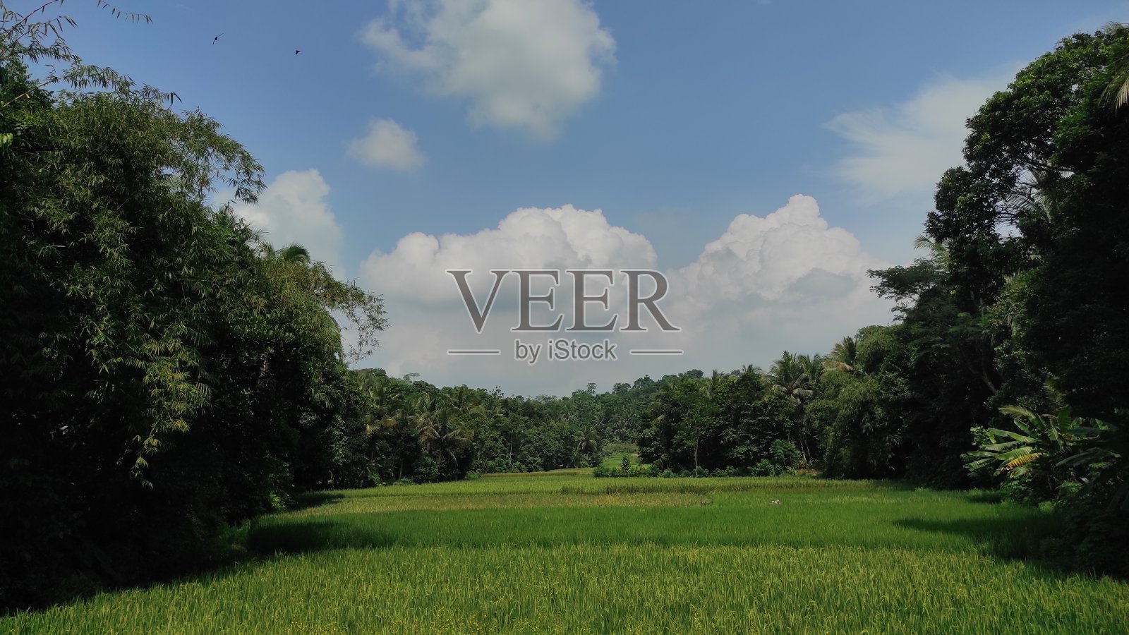 阳光灿烂的日子照片摄影图片