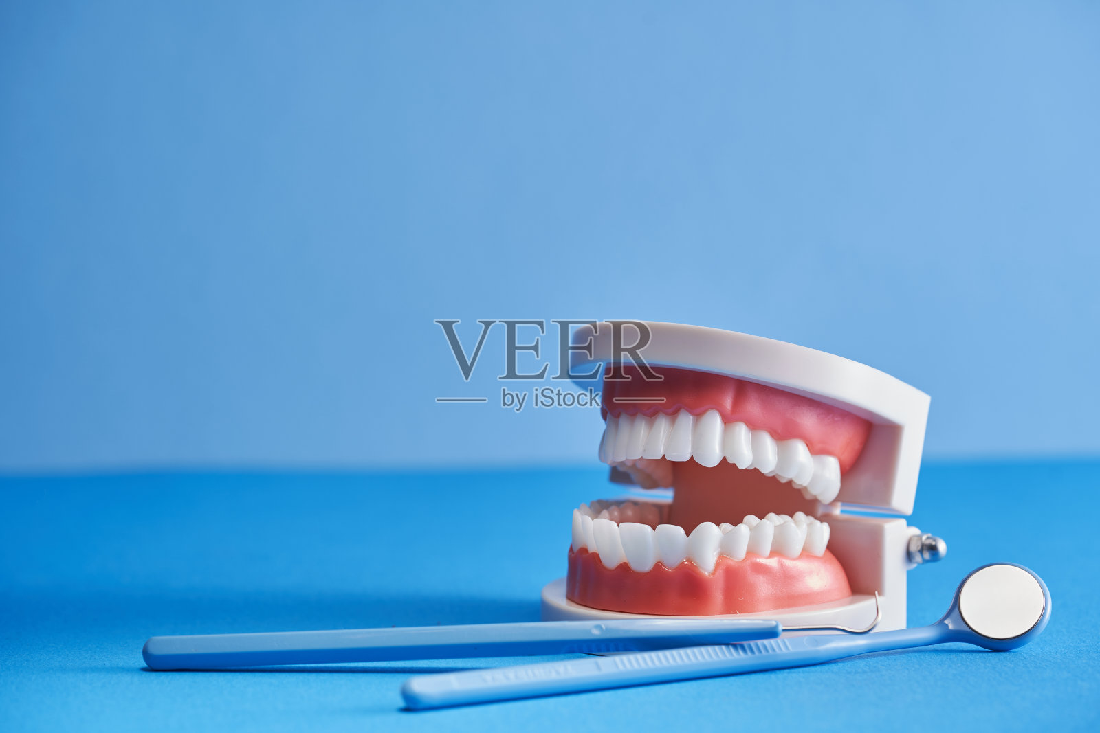 牙齿模型和牙医工具在蓝色背景照片摄影图片