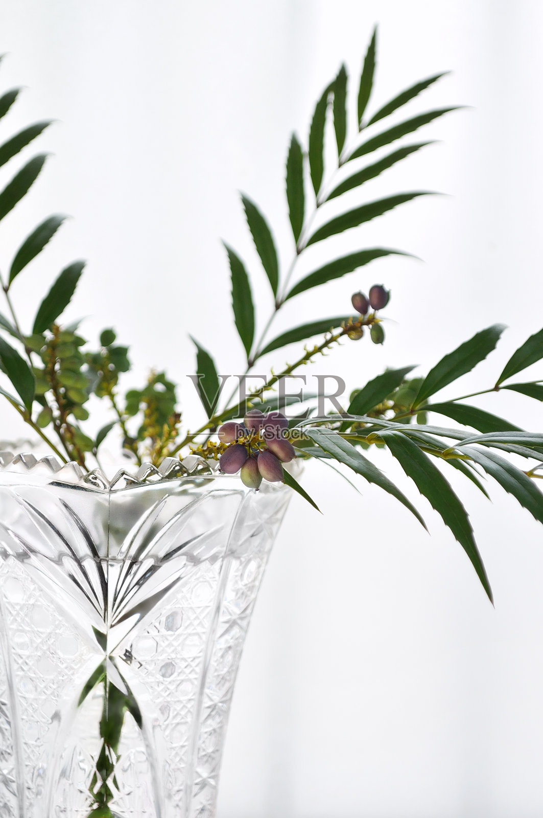 玻璃花瓶里的叶子和浆果照片摄影图片