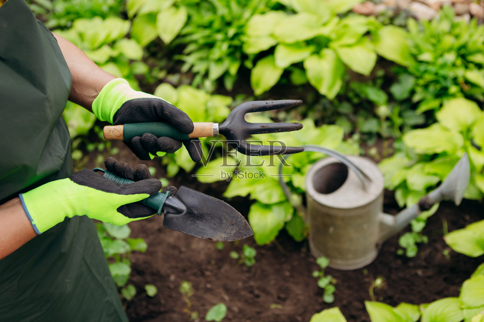 在院子里干活的女园丁。园艺理念，种植和爱护花草。照片摄影图片