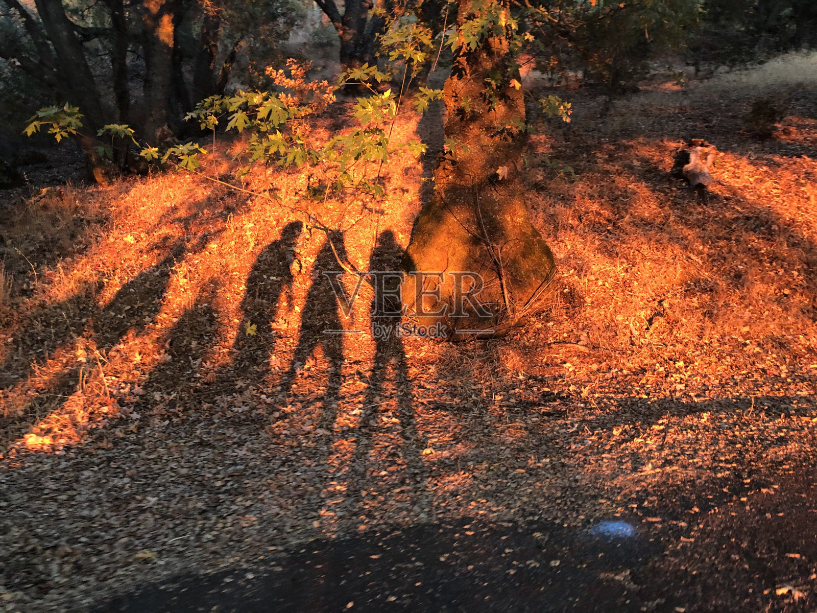 朋友的影子照片摄影图片