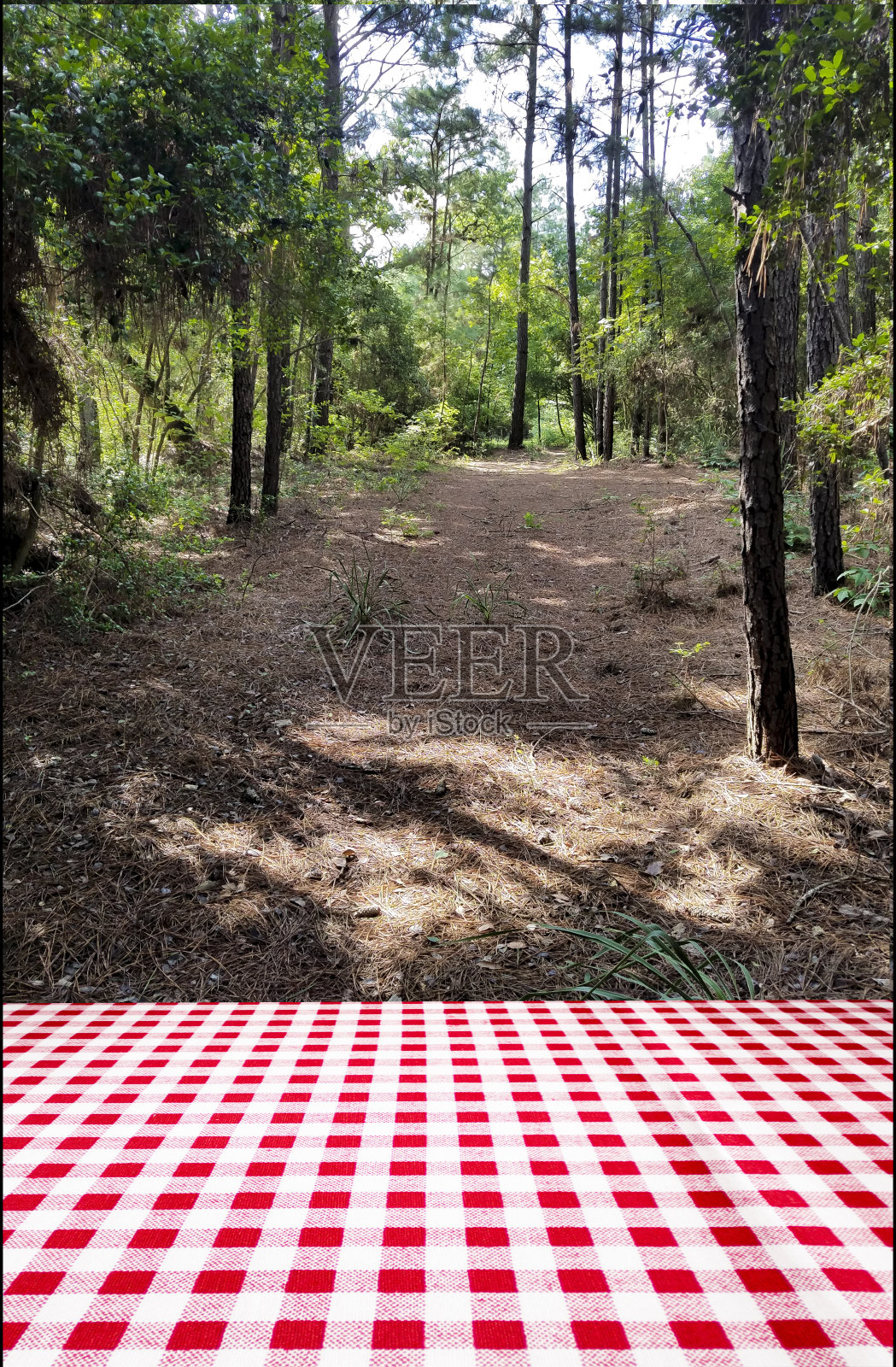 带有格子图案桌布的野餐桌照片摄影图片