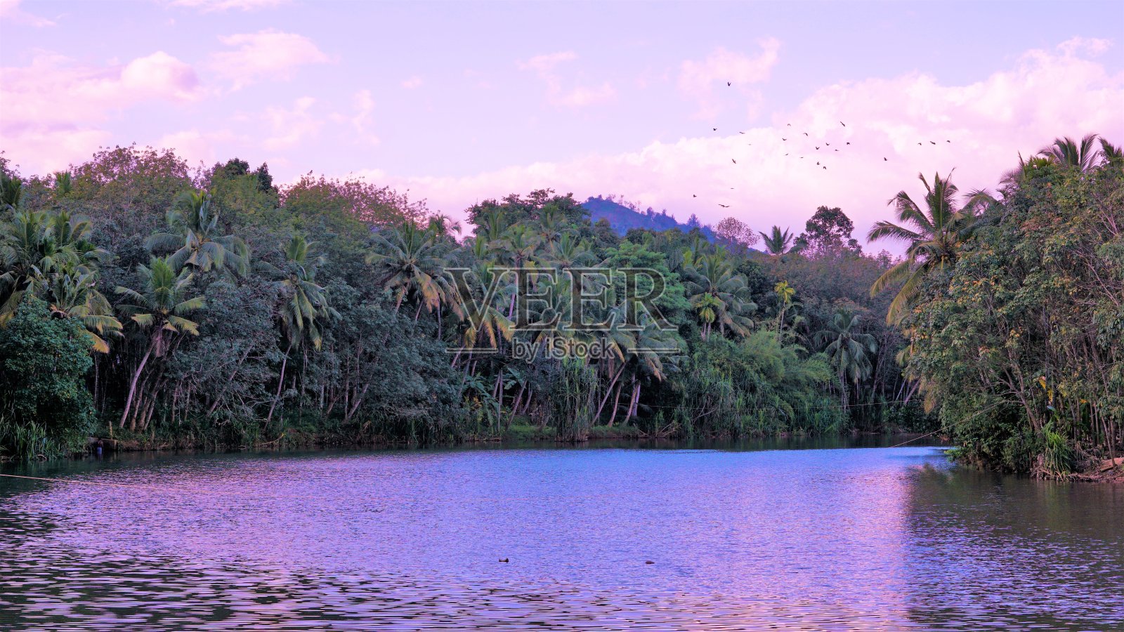 从蒂鲁帕拉普瀑布上方的河流上俯瞰美丽的风景。惊人的自然背景与色彩效果。印度泰米尔纳德邦，坎亚库马里区，周末入口或野餐点照片摄影图片